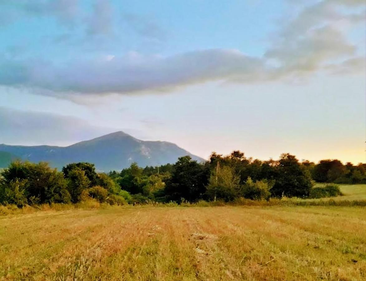 Villa Saturea Boljevac エクステリア 写真