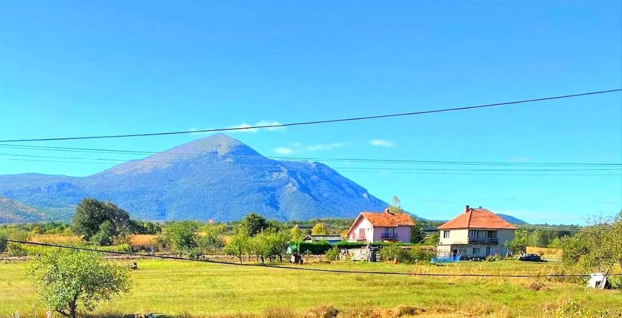 Villa Saturea Boljevac エクステリア 写真