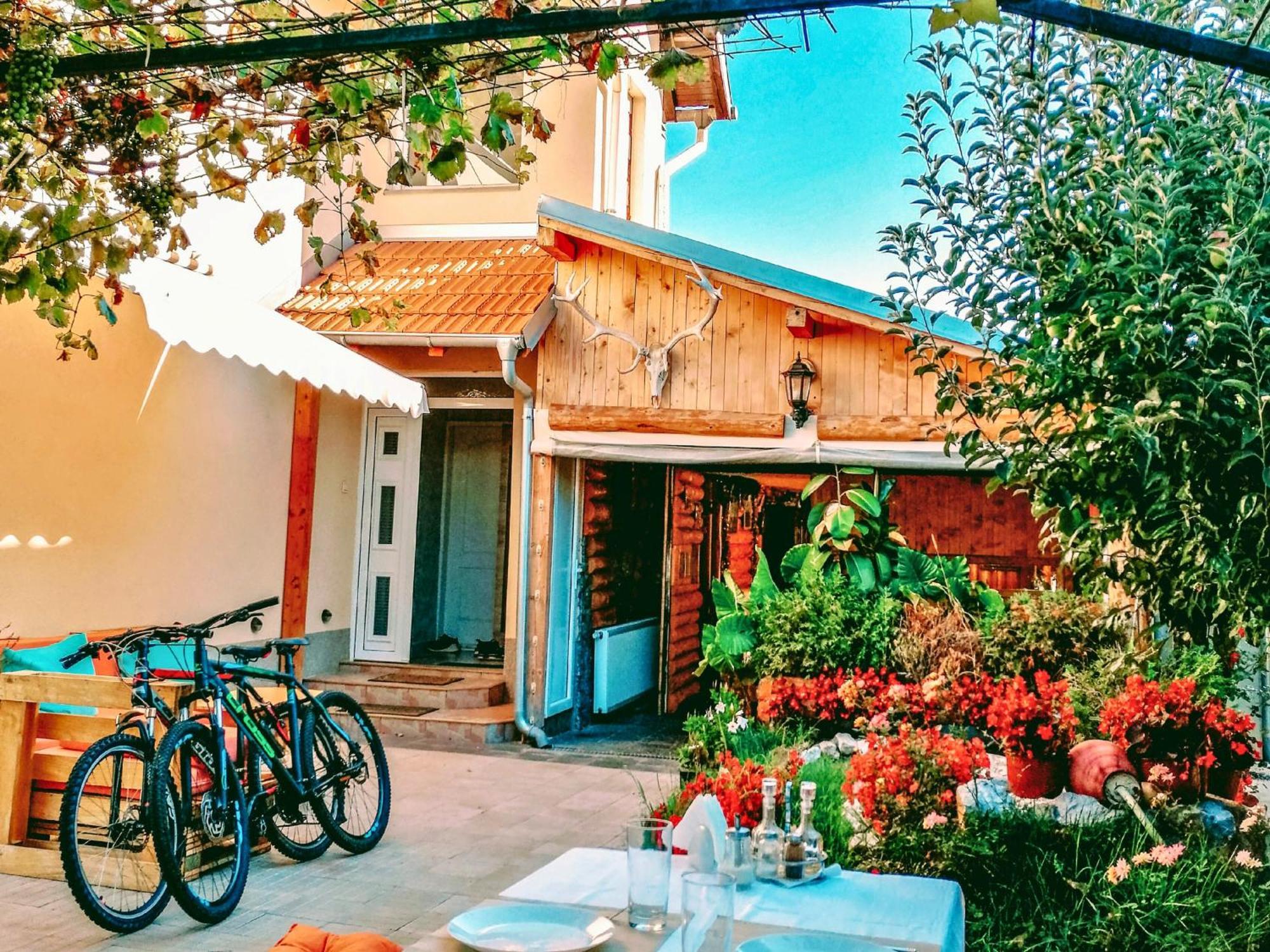 Villa Saturea Boljevac エクステリア 写真
